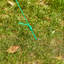 Serre de jardin 74,75 po H