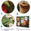 Ensemble de 4 pièces d'art loutre ludique en fleurs tropicales I - Loutre-1158773791