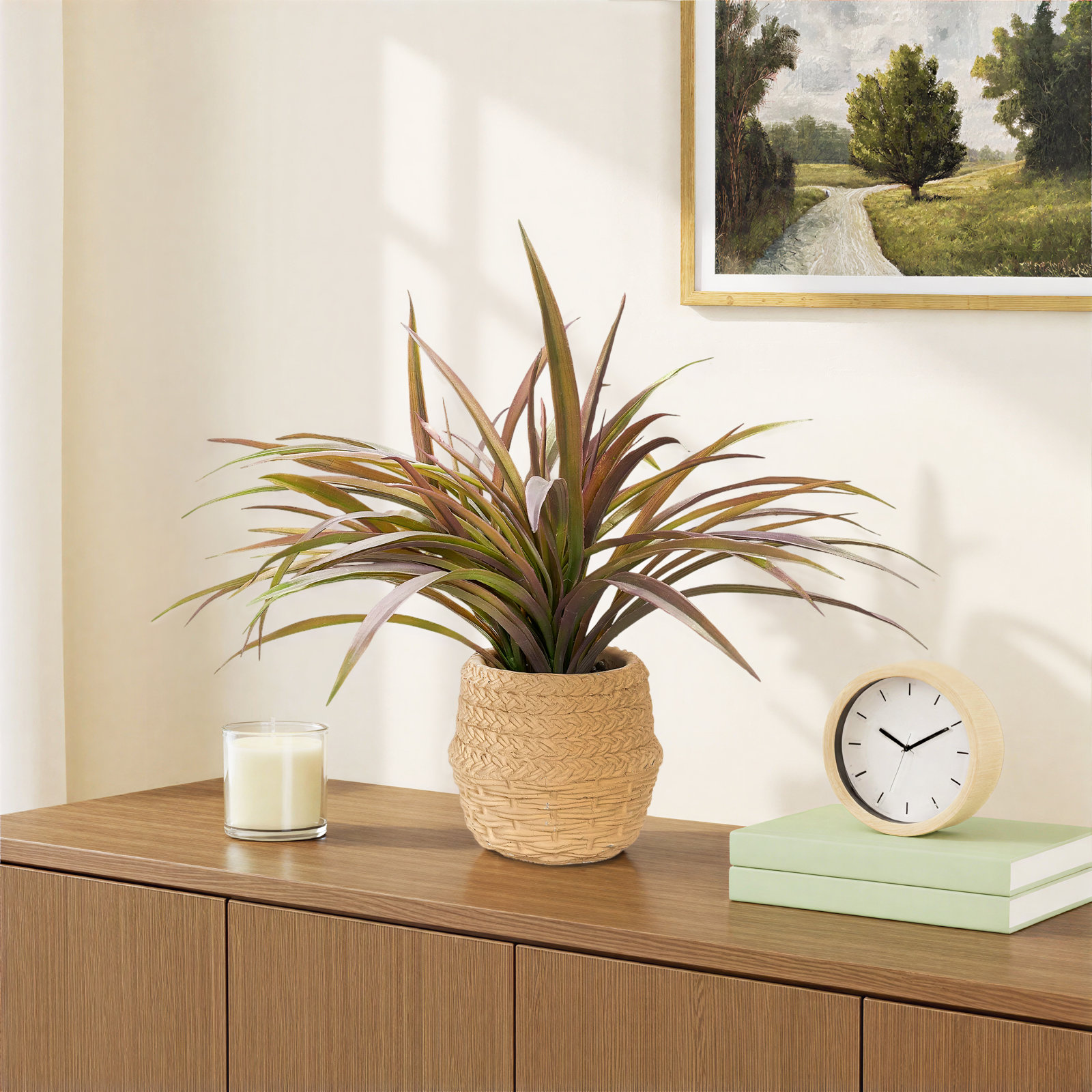 13" Spider Plant in Planter