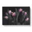 Tulip Flowers In Purple - Wrapped Canvas-55361555
