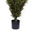 Artificial Cedar Cypress Confier Trees 120cm Faux Cedar Tree in Pot Liner