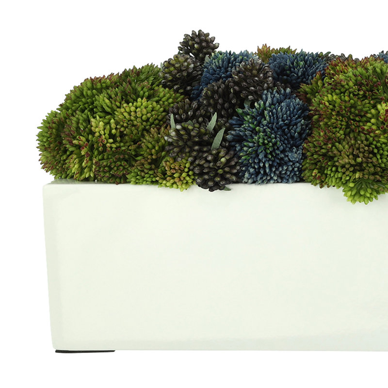 Sedum and Lucky Berry Arrangement in Fiberstone Planter