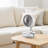 8 inch Foldable Rechargeable Oscillating Fan 3 in 1 Remote 8 Speeds
