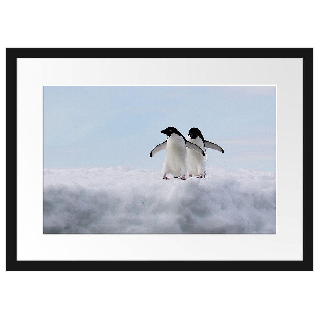 Gerahmter Fotodruck Adelie Penguins on an Ice Floe