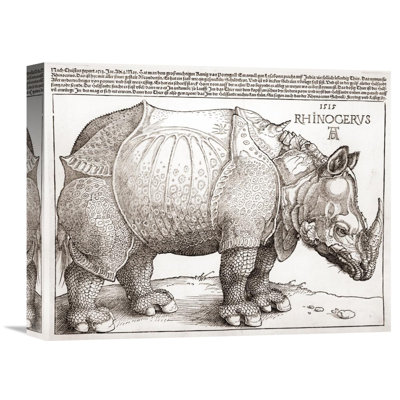 " The Rhinoceros " by Albrecht Dürer