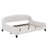 Full Size Modern Luxury Tufted Button Daybed-1555929312