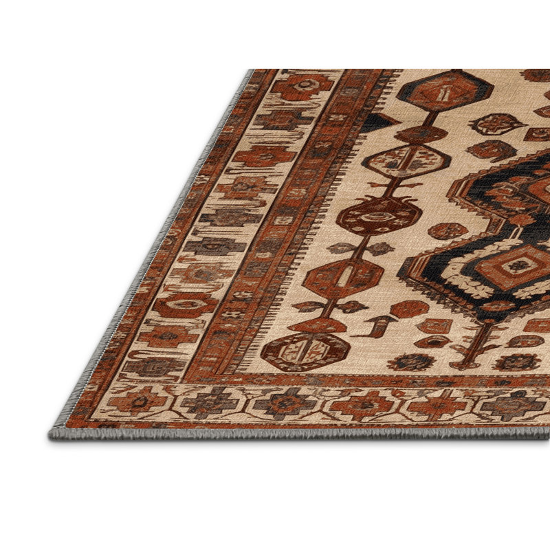 Machine Washable Turkish Brown Area Rug, Rectangle 8' x 12'