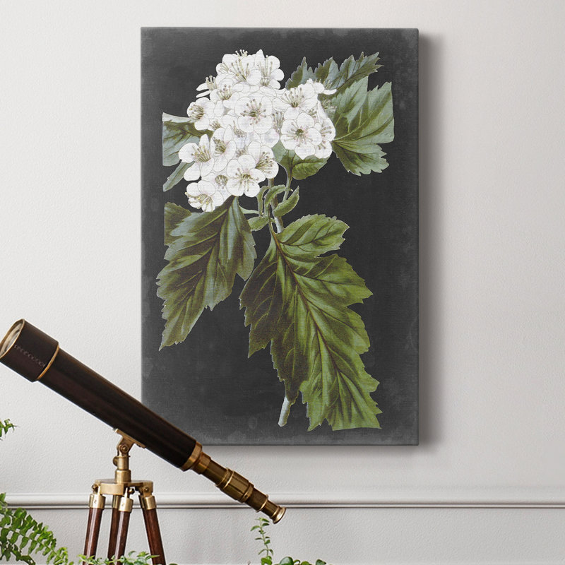 Fleurs blanches dramatiques IV - impression, H 60 po x l 40 po x P 1 po