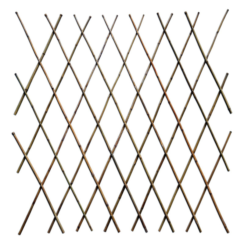 72'' W Wood Expanding Trellis, 48" H x 72" W x 1" D