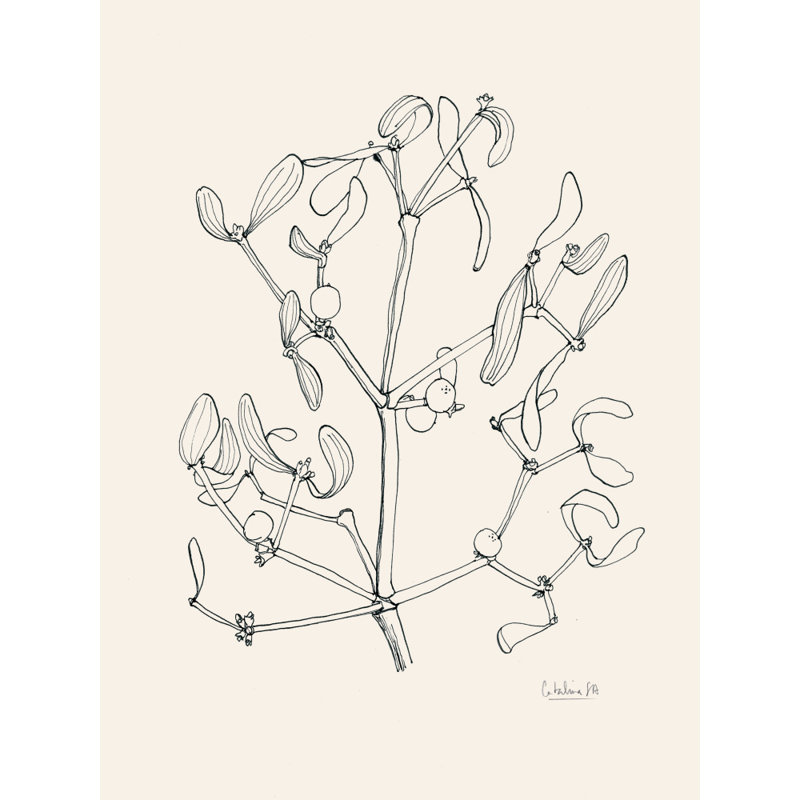 Wrapped Canvas Print, 76.2 cm H x 50.8 cm W