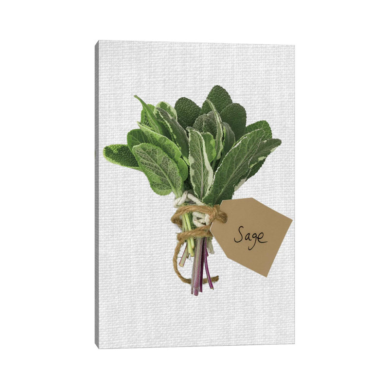 Sage 1 Piece Wrapped Canvas Painting, 20.32 cm H x 30.48 cm W x 1.91 cm D
