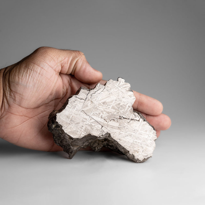 Genuine Muonionalusta Meteorite Slice (2.4 Lbs)