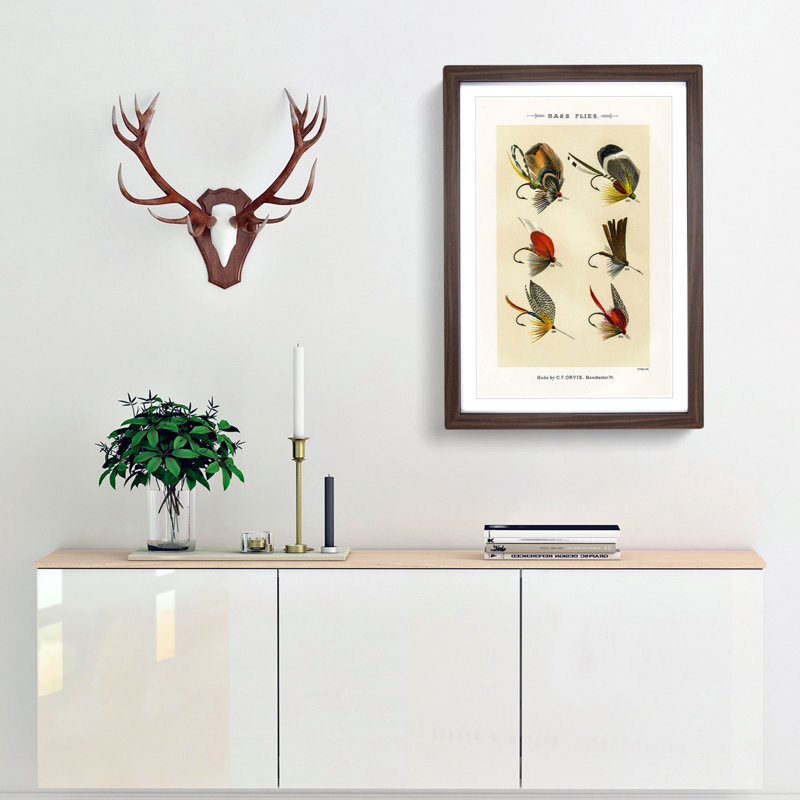 Bass Fishing Flies Versions 8 by Mary Orvis Marbury - Picture Frame Painting Print, Walnut Framed, 65cm H x 48cm W x 2cm D