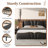 Modern Bed Frame with Wingback Head board-562774095-562774093