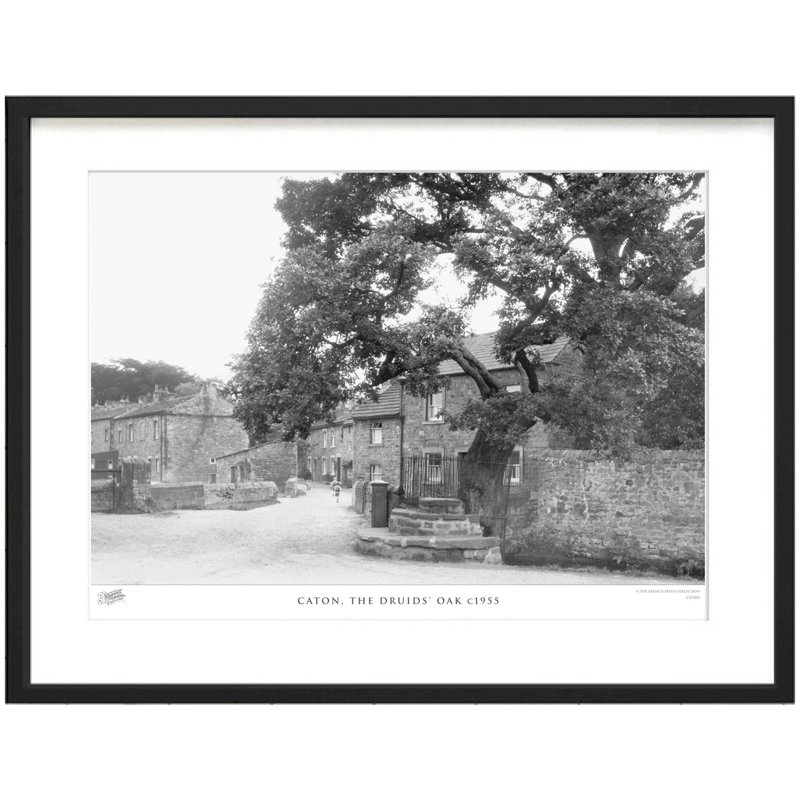 Caton, The Druids' Oak C1955 - Single Picture Frame Print, 40cm H x 50cm W x 2.3cm D