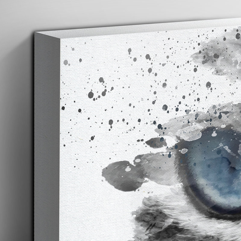 Cat Eyes - Wall Art, 40cm H x 60cm W x 3cm D, Wrapped Canvas