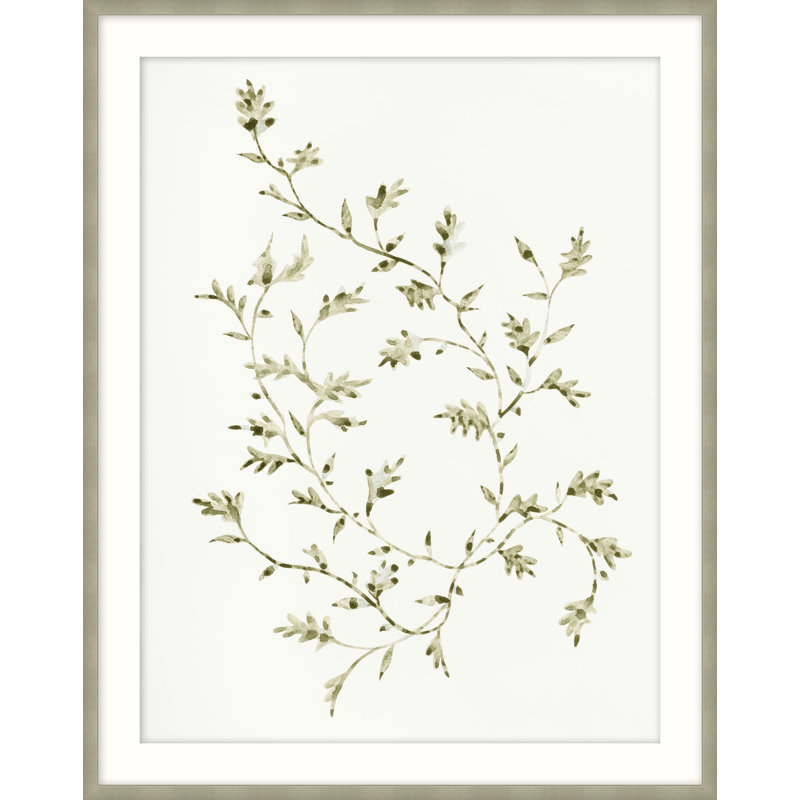 Leafy Vines 2 Print by Studio L57 Affinity, 34.75" H x 27.75" W