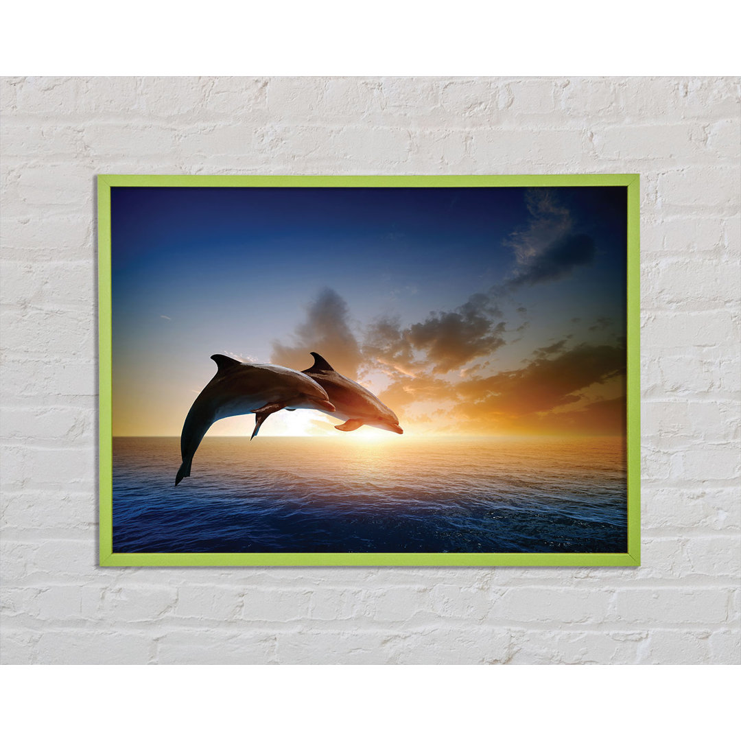 Gerahmtes Poster Jumping Sunset Dolphins