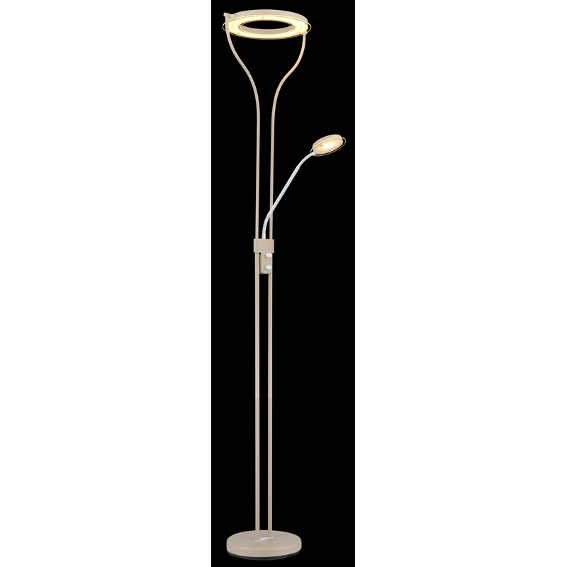 194cm Matte LED Novelty Floor Lamp