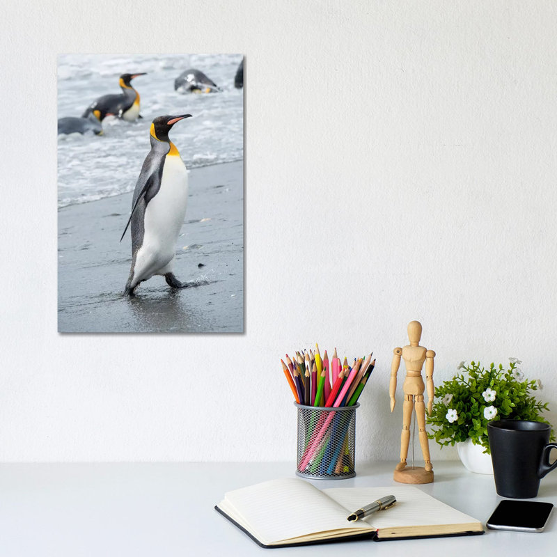 King Penguin Rookery On Salisbury Plain In The Bay Of Isles. South Georgia Island by Martin Zwick - Wrapped Canvas Print