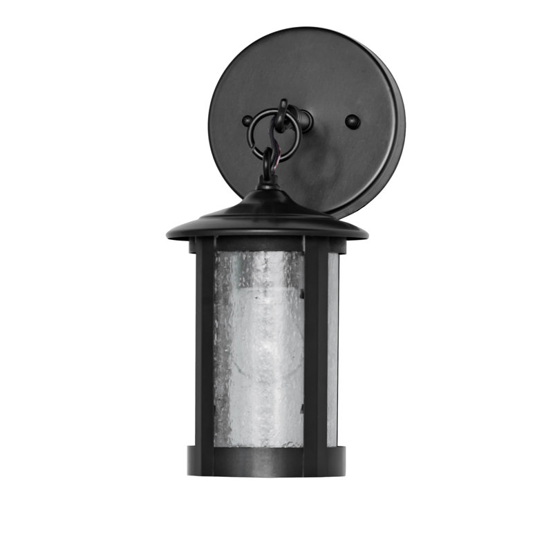 1 - Light LED Armed Sconce