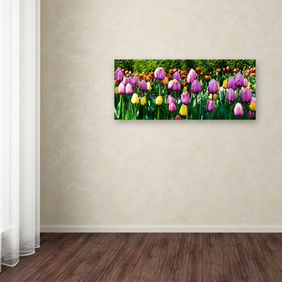 « row of tulipes » par kurt shaffer, reproduction de photo sur toile tendue