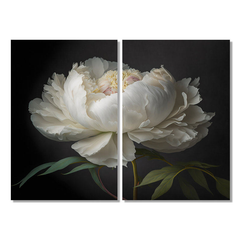 Pivoine blanche en fleurs VI - art mural blanc, H 36 po x l 48 po, Toile tendue, Ne s’applique pas