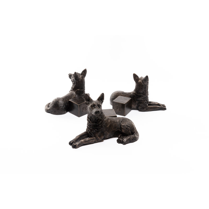 Pieds de jardinière berger allemand de couleur bronze dans une boîte cadeau
