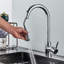 Belfry Kitchen Waldron Pull Out Kitchen Faucet