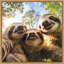 «Funny Animal Sloth Selfie» par The Creative Bunch Studio, reproduction d'art sur toile encadrée-1445970284