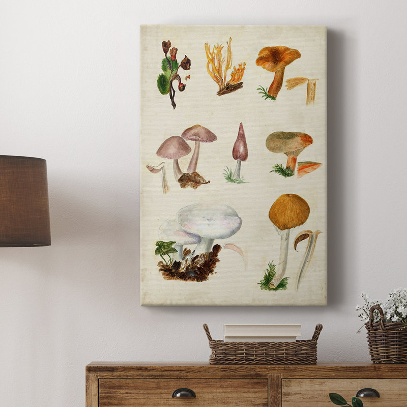 Mushroom Species VI - Gallery Cavas, H 48 po x l 32 po