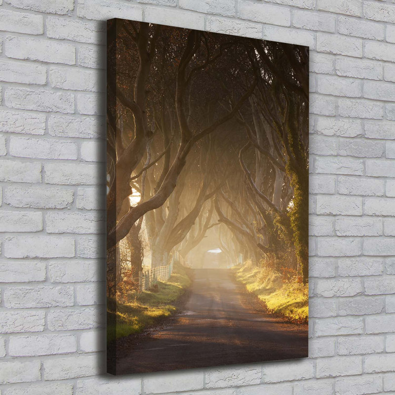Path In The Forest - Wrapped Canvas Print