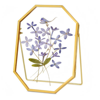 Glass Pressed Flower Frame Handmade, Metal Floating Picture Frame, Double Glass For Pressed Flowers Tabletop Display, Unique Brass Octagon, FRAME ONLY