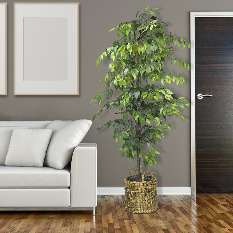 72" Artificial Ficus Tree in Basket