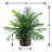 28'' Faux Palm Plant in Wicker/Rattan Pot