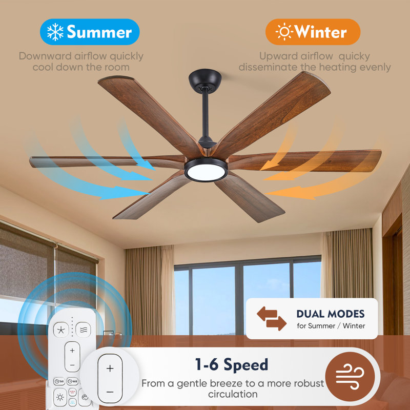 Ceiling Fan