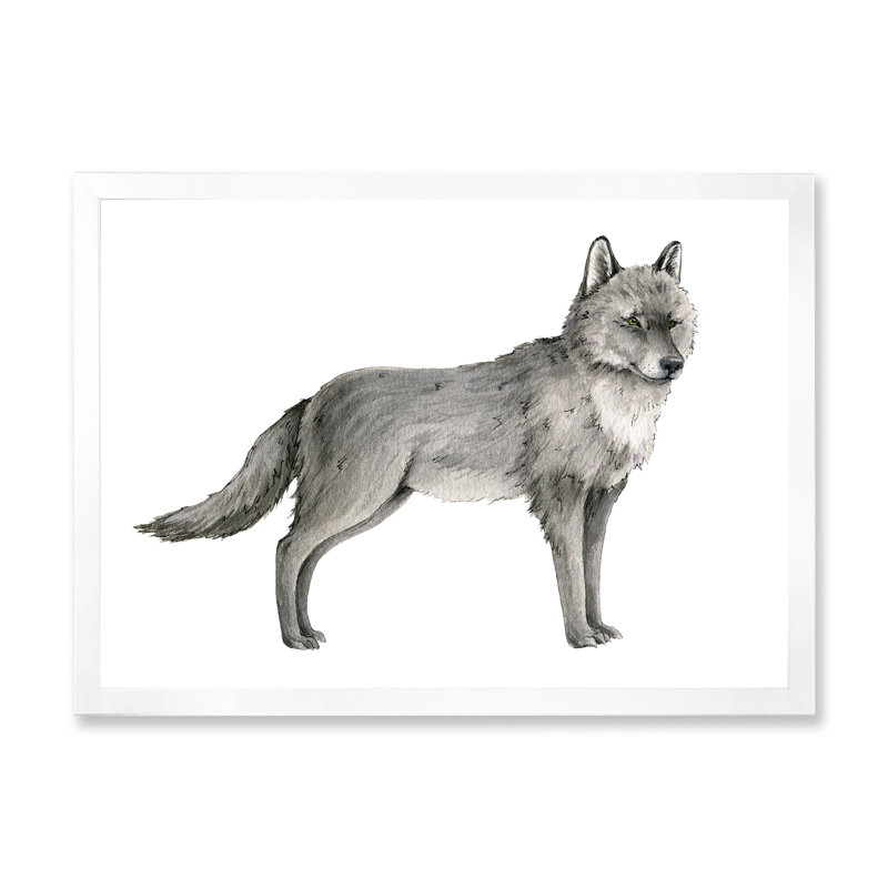 Portrait d'un loup I - reproduction sur toile, H 12 po x l 20 po, Toile blanche avec cadre d'angle fermé