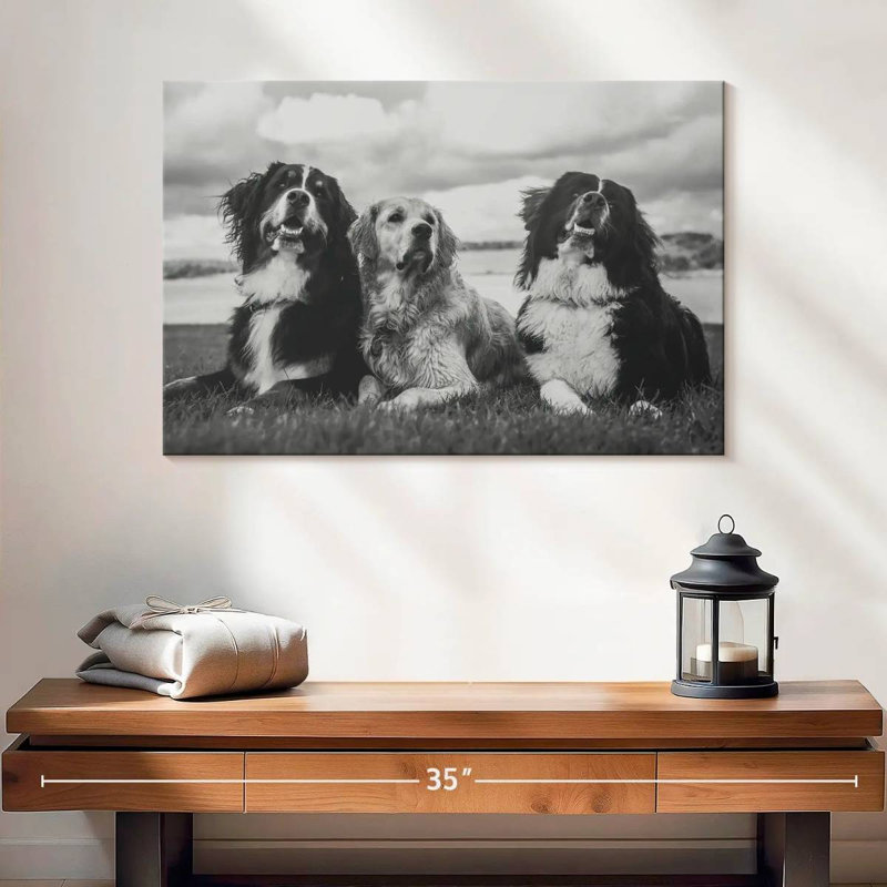 Brampt Bernese Mountain Dogs, 16" H x 24" W