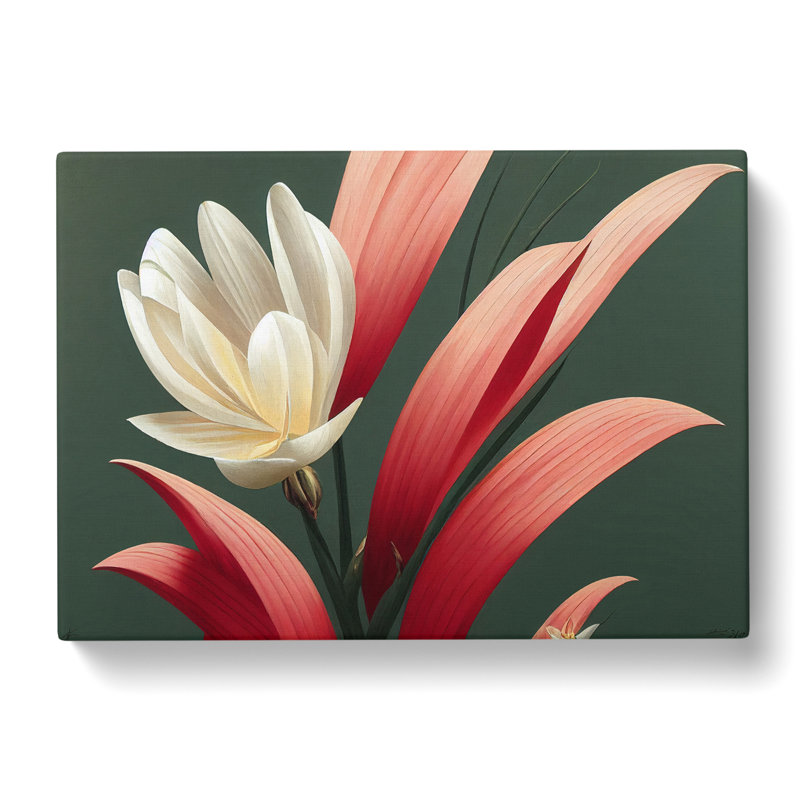 Extraordinary Flower - Wrapped Canvas, 35cm H x 50cm W x 3cm D
