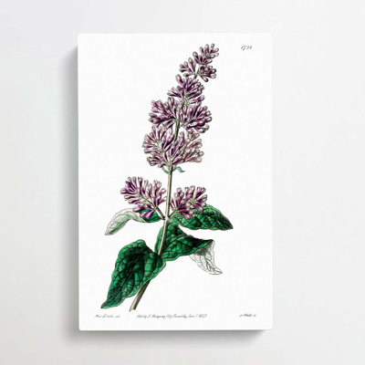 Hungarian Lilac Flowers - Wrapped Canvas Painting
