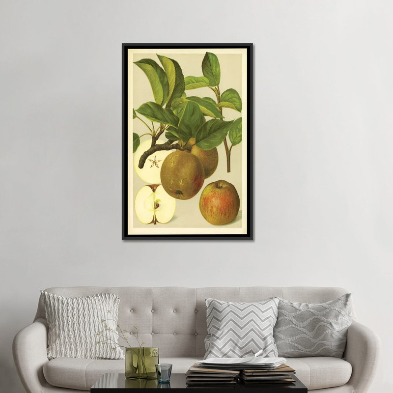 «Russet Apples», reproduction sur toile, H 26 po x l 18 po x P 1,5 po, Toile avec cadre noir, Pas de tapis