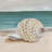 She Sells Seashells II by Alicia Ludwig - Wrapped Canvas Painting-1628526037