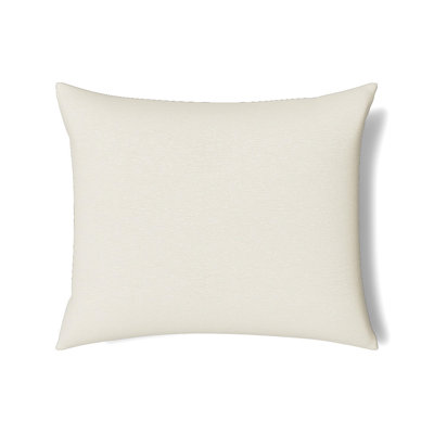 Asperitas Pillow
