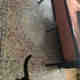 Photos des clients 4 de 4