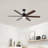 Lenecka Ceiling Fan with LED Lights-1344157814