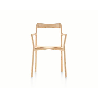Branca Solid Arm Chair