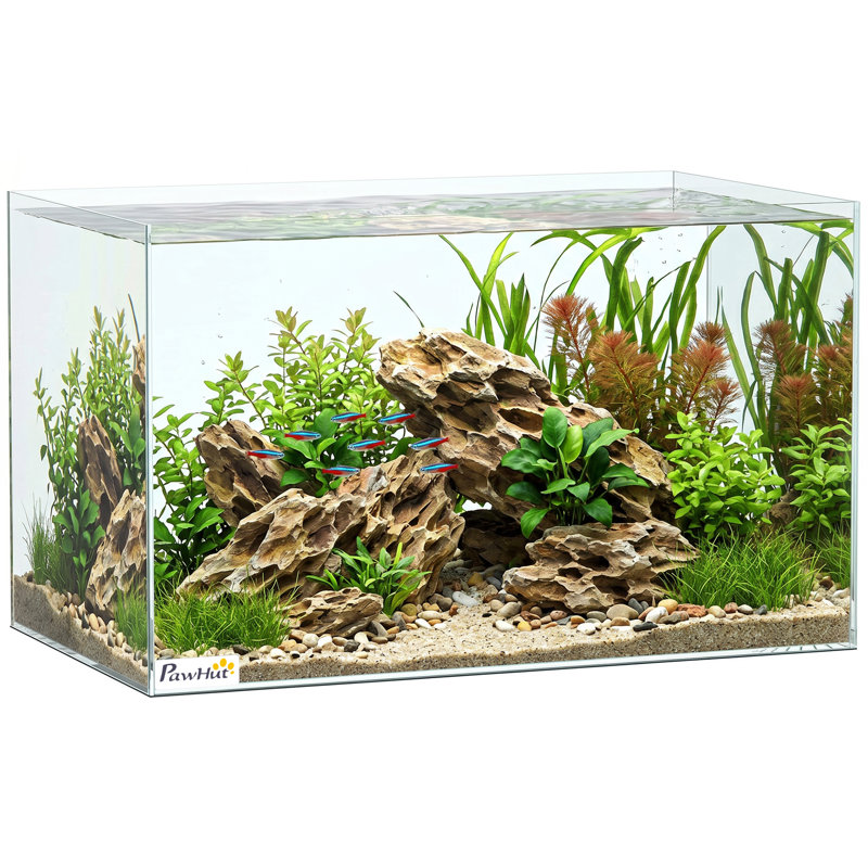 Fish Tank with Protective Base Mat, 30cm H x 50cm W x 30cm D