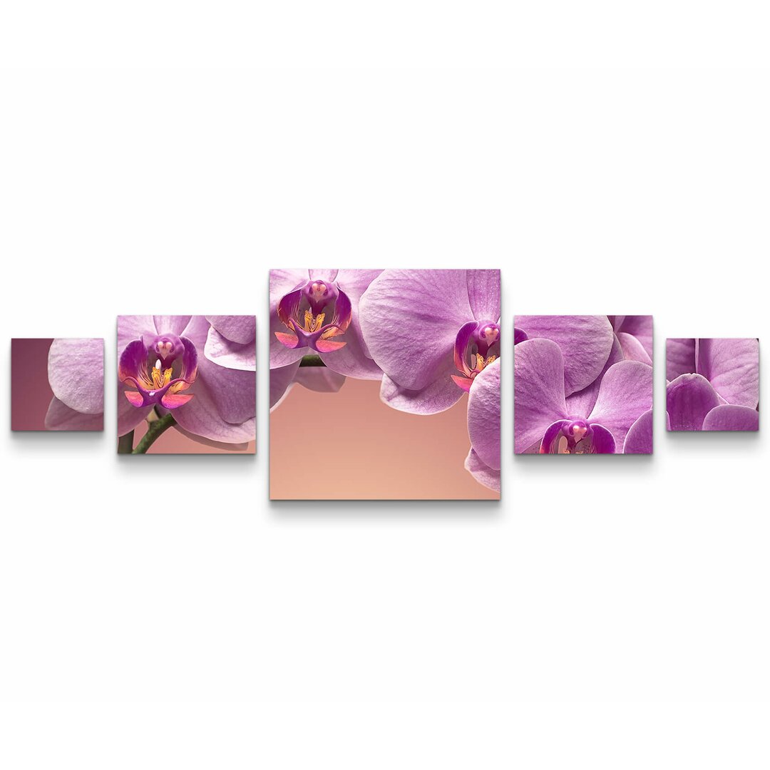 5-tlg. Leinwandbilder-Set Rosa Orchideenrispe