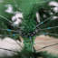 Artificial Christmas Tree-337244077-337244078
