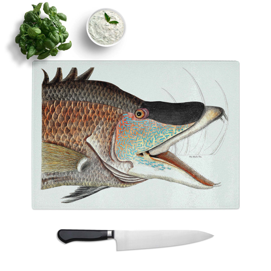 Glass Great Hog-Fish by Mark Catesby Chopping Board